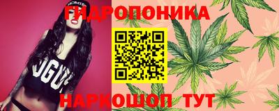 трава Гусиноозёрск