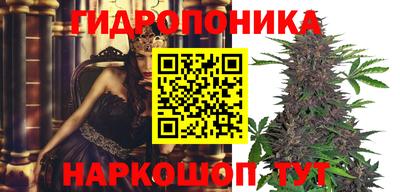 ECSTASY Гусев